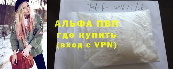 гидра Кущёвская