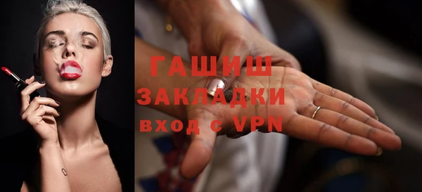 шишки Няндома