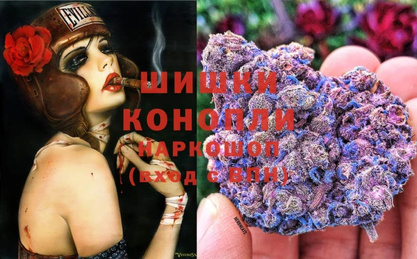 прущие грибы Яровое
