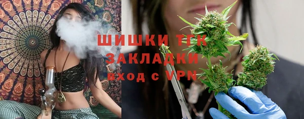 бошки Болотное