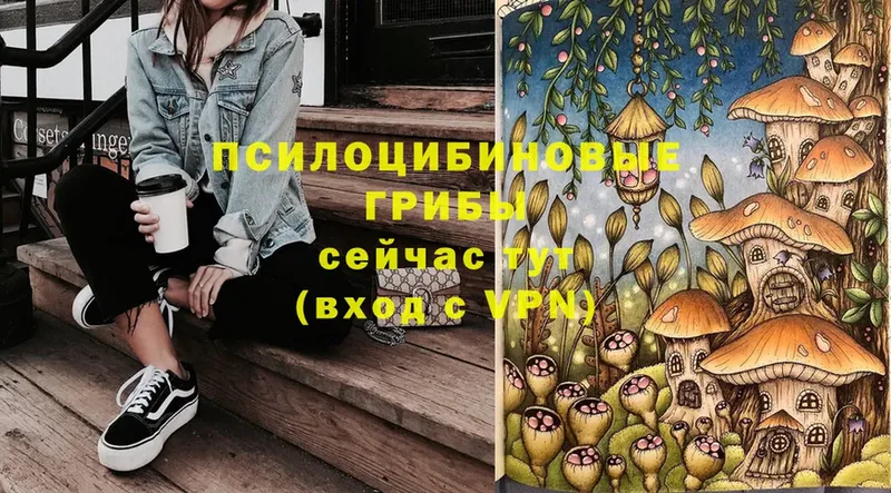 ссылка на мегу маркетплейс цены наркотик Аркадак Псилоцибиновые грибы GOLDEN TEACHER