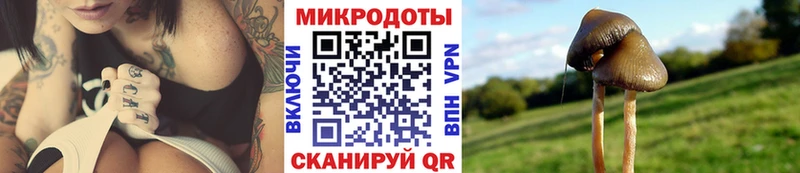 Псилоцибиновые грибы GOLDEN TEACHER blacksprut ссылка Аркадак